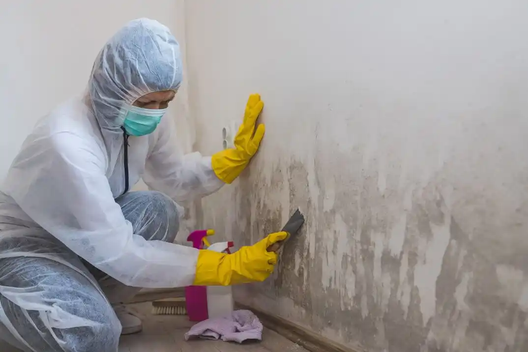 water damage restoration service University Park at Northpointe